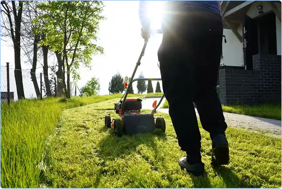 Lawn Care Business