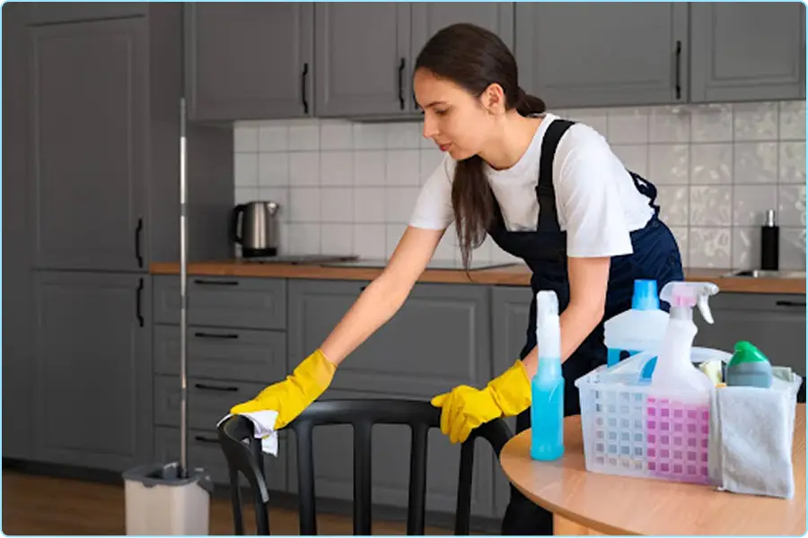 Home Cleaning Business