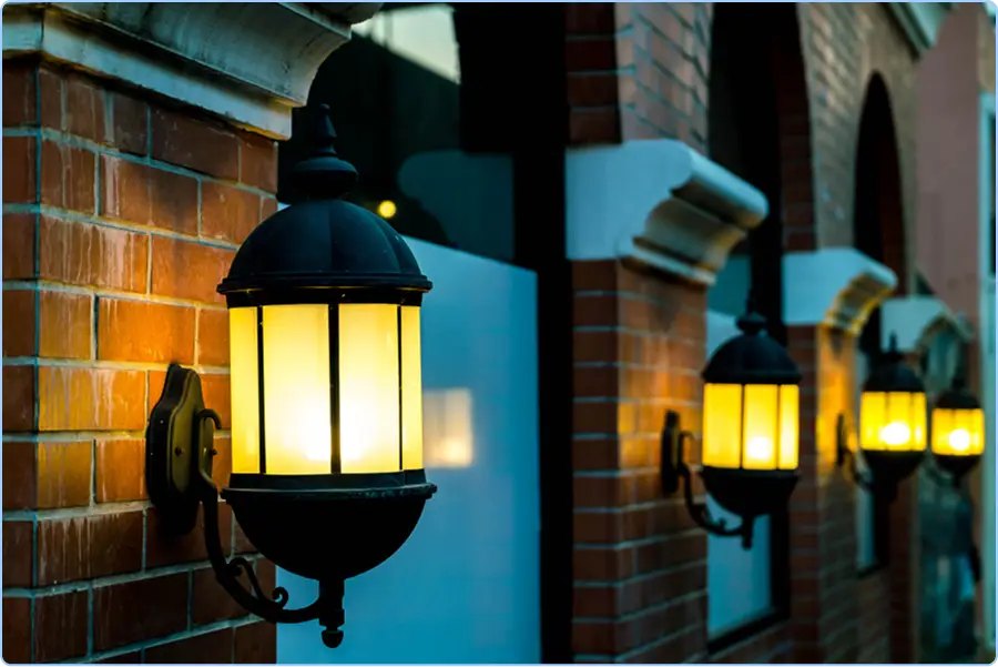 Landscape Lighting Installation