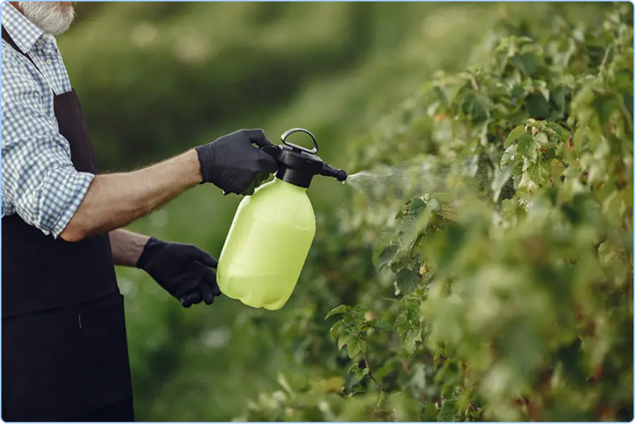 Garden Pest & Disease Management
