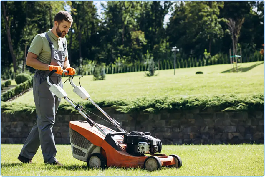 Seasonal Lawn Preparation & Cleanup