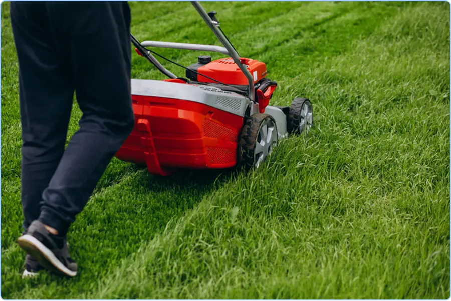 what-problems-does-a-lawn-care-software-solve-for-your-business