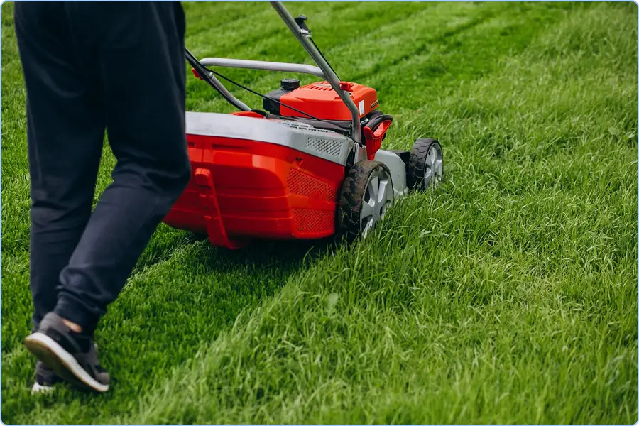 lawn-care-service-ideas-to-start-your-business