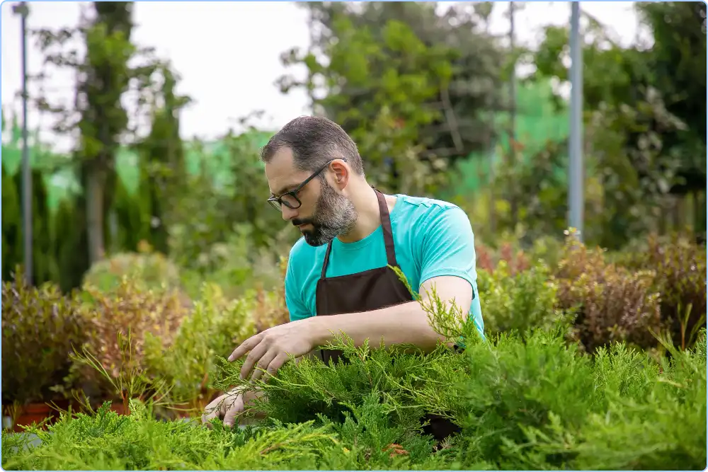 lawn-fertilization-and-weed-control-programs