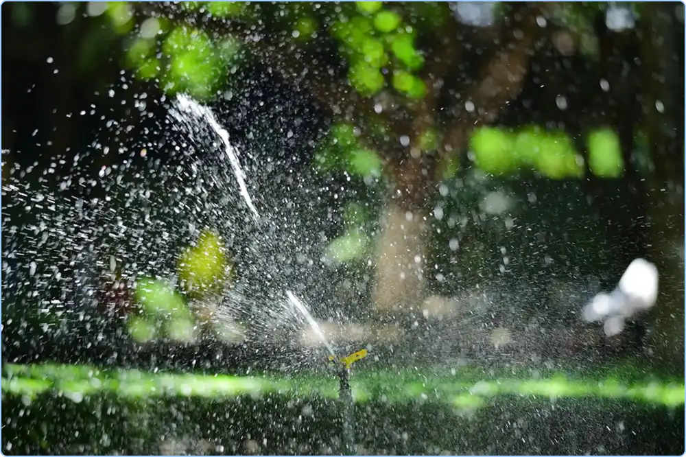 lawn-irrigation-installation-and-repair