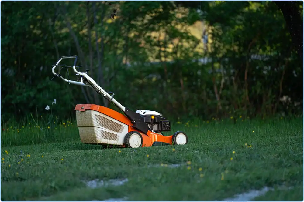 lawn-mowing-and-edging-service