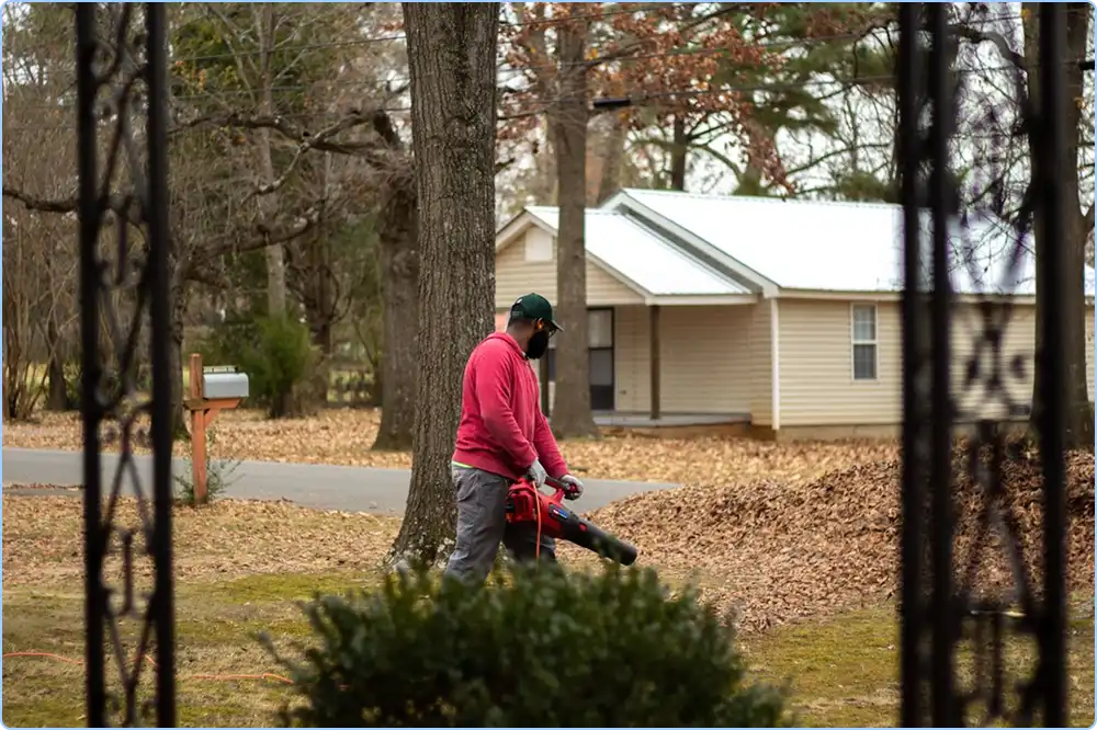 spring-and-fall-yard-cleanup-service